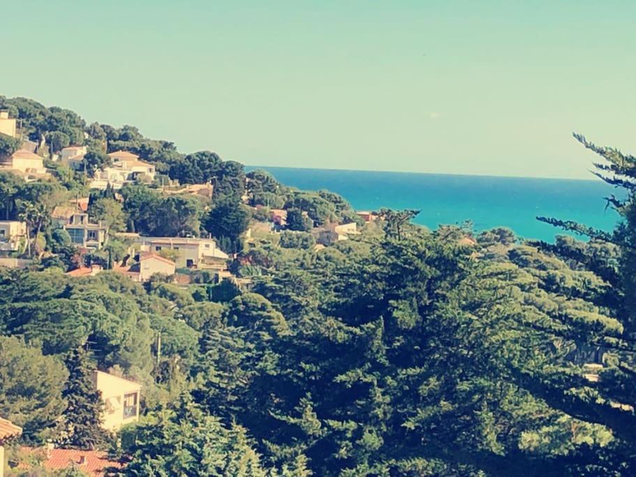 Maison St Clair Vue Mer Сет Екстер'єр фото