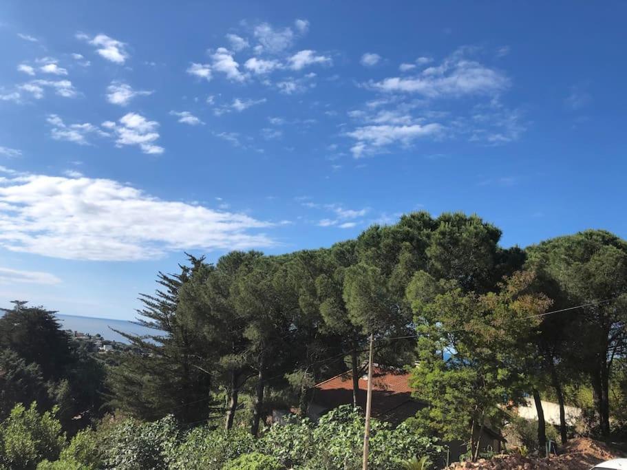 Maison St Clair Vue Mer Сет Екстер'єр фото